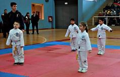 Foto de la galería: Taekwondo: los niños coparon el CePARD