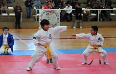 Foto de la galería: Taekwondo: los niños coparon el CePARD