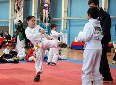 Foto de la galería: Taekwondo: los niños coparon el CePARD