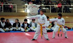 Foto de la galería: Taekwondo: los niños coparon el CePARD