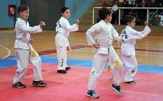 Foto de la galería: Taekwondo: los niños coparon el CePARD