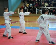 Foto de la galería: Taekwondo: los niños coparon el CePARD