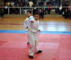 Foto de la galería: Taekwondo: los niños coparon el CePARD