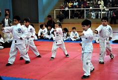 Foto de la galería: Taekwondo: los niños coparon el CePARD