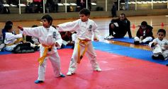 Foto de la galería: Taekwondo: los niños coparon el CePARD