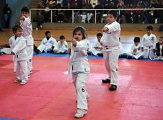 Foto de la galería: Taekwondo: los niños coparon el CePARD