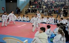 Foto de la galería: Taekwondo: los niños coparon el CePARD