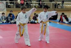 Foto de la galería: Taekwondo: los niños coparon el CePARD