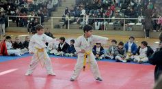 Foto de la galería: Taekwondo: los niños coparon el CePARD