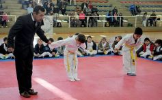 Foto de la galería: Taekwondo: los niños coparon el CePARD