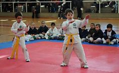 Foto de la galería: Taekwondo: los niños coparon el CePARD