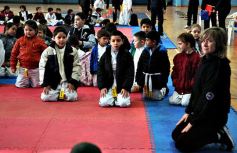 Foto de la galería: Taekwondo: los niños coparon el CePARD