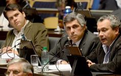 Foto de la galería: Aprueban la adhesión de Misiones al sistema nacional de protección a las personas trasplantadas