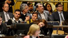 Foto de la galería: Aprueban la adhesión de Misiones al sistema nacional de protección a las personas trasplantadas