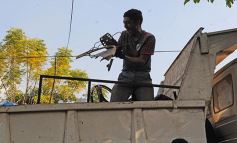 Foto de la galería: Otro operativo del PAS, esta vez en la chacra 96