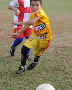 Foto de la galería: El semillero del fútbol misionero a pleno en el Brown