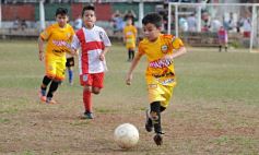 Foto de la galería: El semillero del fútbol misionero a pleno en el Brown