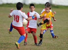 Foto de la galería: El semillero del fútbol misionero a pleno en el Brown