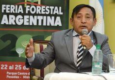 Foto de la galería: Lanzaron la undécima Feria Forestal Argentina: será del 22 al 25 de septiembre