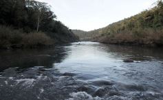 Foto de la galería: Los Saltos del Moconá, a pleno