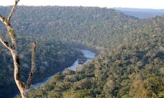 Foto de la galería: Los Saltos del Moconá, a pleno