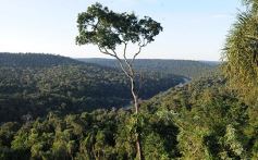 Foto de la galería: Los Saltos del Moconá, a pleno
