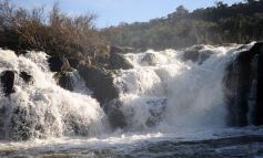 Foto de la galería: Los Saltos del Moconá, a pleno