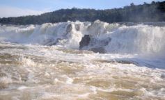 Foto de la galería: Los Saltos del Moconá, a pleno