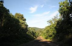 Foto de la galería: Los Saltos del Moconá, a pleno