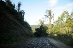 Foto de la galería: Los Saltos del Moconá, a pleno