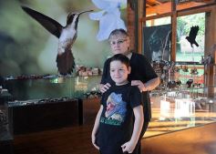 Foto de la galería: Los Saltos del Moconá, a pleno