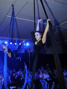 Foto de la galería: Espectacular cierre de Expo Eventos en Posadas