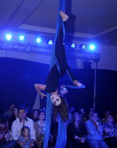 Foto de la galería: Espectacular cierre de Expo Eventos en Posadas