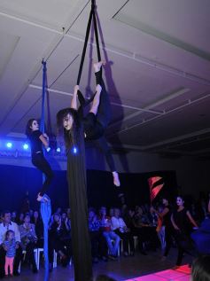 Foto de la galería: Espectacular cierre de Expo Eventos en Posadas