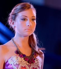 Foto de la galería: Espectacular cierre de Expo Eventos en Posadas