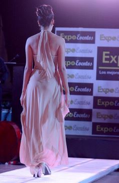 Foto de la galería: Espectacular cierre de Expo Eventos en Posadas