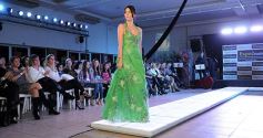 Foto de la galería: Espectacular cierre de Expo Eventos en Posadas