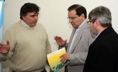 Foto de la galería: Presentaron los lineamientos para el sector agropecuario y agroalimentario de Misiones
