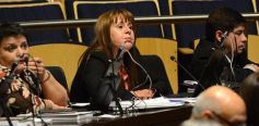 Foto de la galería: La Legislatura aprobó intervención de la Municipalidad de Arroyo del Medio