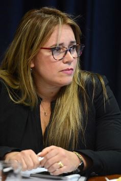 Foto de la galería: Ya se analiza en la Legislatura el Presupuesto 2017