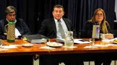 Foto de la galería: Ya se analiza en la Legislatura el Presupuesto 2017