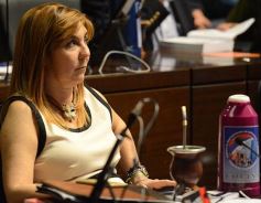 Foto de la galería: Legislatura: los desalojos continuarán suspendidos hasta fin del 2017