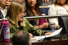 Foto de la galería: Legislatura: los desalojos continuarán suspendidos hasta fin del 2017