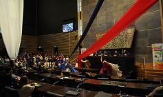 Foto de la galería: La Cámara determinó por ley que en las escuelas misioneras se capacitará sobre salud bucodental