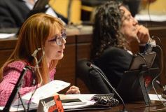 Foto de la galería: La Cámara determinó por ley que en las escuelas misioneras se capacitará sobre salud bucodental