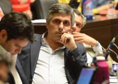 Foto de la galería: La Cámara determinó por ley que en las escuelas misioneras se capacitará sobre salud bucodental