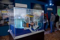 Foto de la galería: El stand de la EBY en la Feria Forestal, de los más visitados