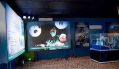 Foto de la galería: El stand de la EBY en la Feria Forestal, de los más visitados