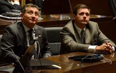 Foto de la galería: En la Legislatura crearon un Plan Maestro Forestal para Misiones