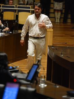 Foto de la galería: En la Legislatura crearon un Plan Maestro Forestal para Misiones